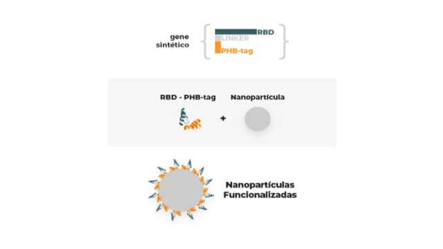 Produção partícula funcionalizada. Fonte: Inventores.