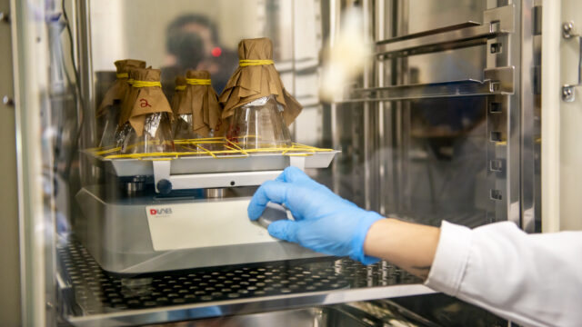 Foto: Marcos Solivan (Sucom/UFPR)