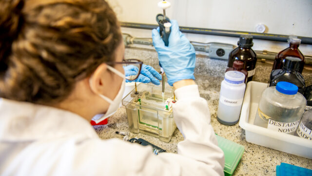 Marcos Solivan (Sucom/UFPR)