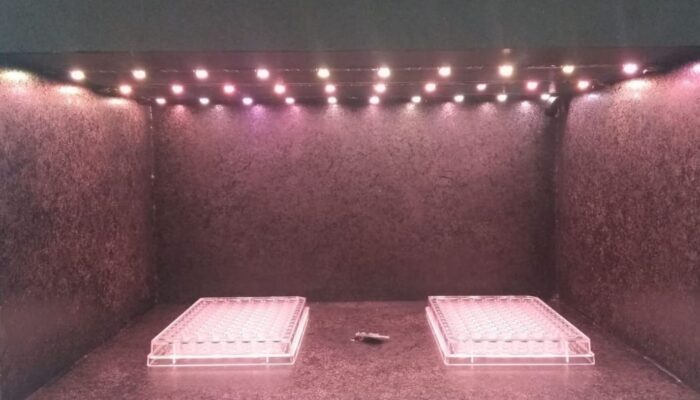 Equipamento de irradiação homogênea de luz não coerente